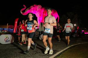 BIB: 
                            <button type="button" onclick="openModal(26534663)" class="btn btn-primary btn-sm float-right btn-popup" data-toggle="modal" data-target=".modal-high-quality">
                        <i class="fas fa-shopping-cart"></i> Add to Cart
                    </button>
                                            <button type="button" onclick="isThisMe(26534663, true)" class="btn btn-success btn-sm float-right btn-popup btn-isme hidden" data-toggle="tooltip" data-placement="bottom" title="นี่คือรูปของคุณใช่ไหม คลิกที่นี่เพื่อเอาเข้าอัลบั้ม">
                        <i class="fas fa-plus"></i> Add to album
                    </button>
                    <button type="button" onclick="isThisMe(26534663, false)" class="btn btn-warning btn-sm float-right btn-popup btn-isnotme hidden">
                        <i class="fas fa-ban"></i> Remove from album
                    </button>